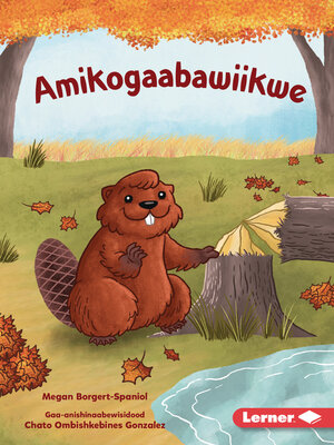 cover image of Amikogaabawiikwe